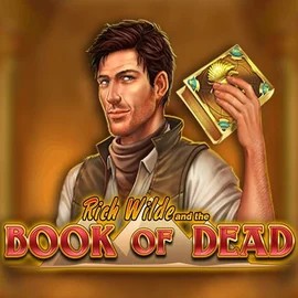 Slots logo of Book of Dead from Play'n GO at Stake Casino